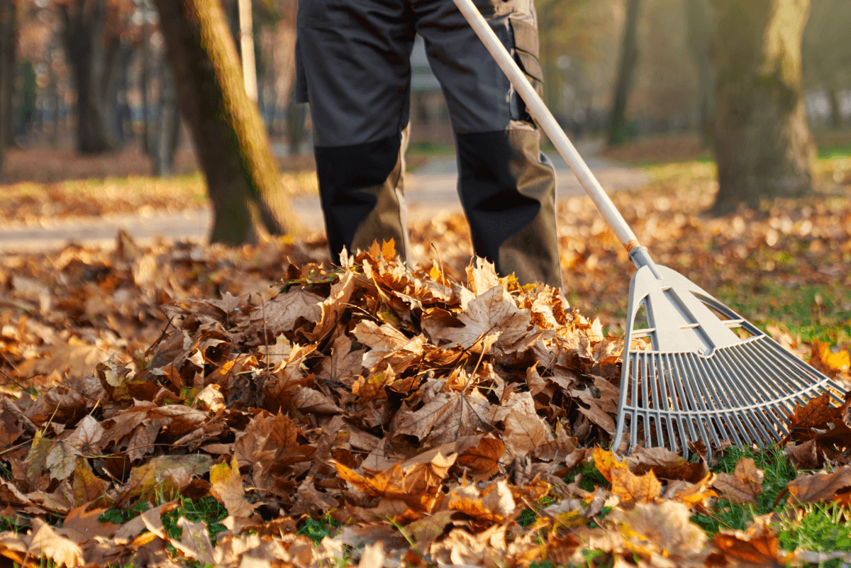Landscaping services in Mount Juliet