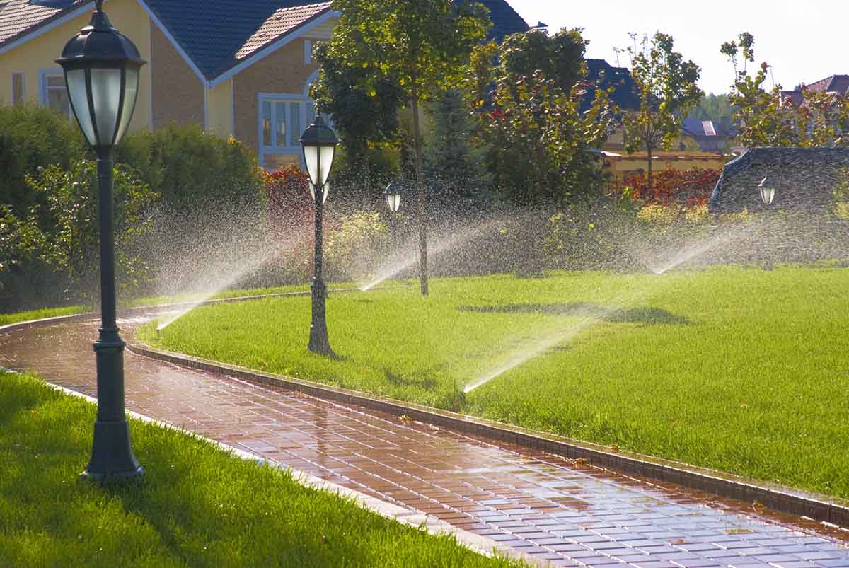 View leaf removal project in Smyrna