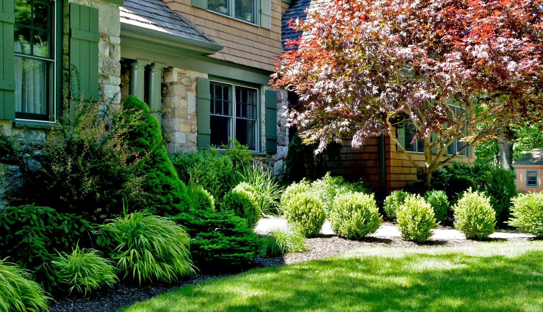 Tree & Shrub Planting example 1