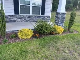 Tree & Shrub Planting example 5